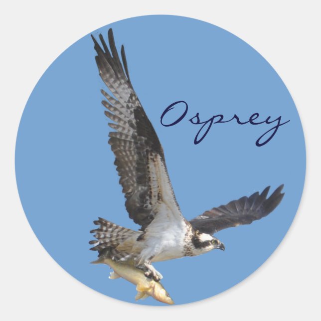 Sticker Rond Flying Osprey & Fish Wildlife Photography (Devant)