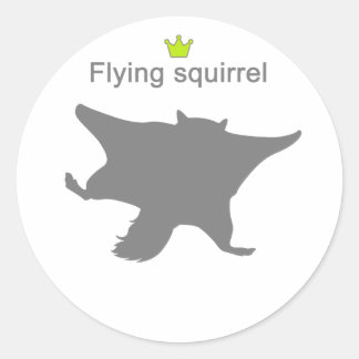 Sticker Rond Flying squirrel g5