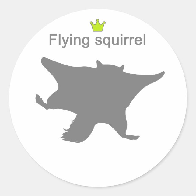 Sticker Rond Flying squirrel g5 (Devant)