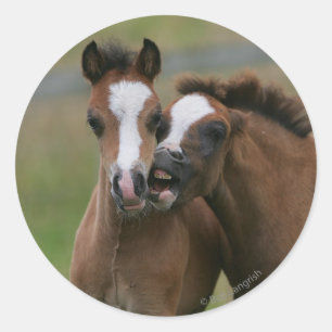 Sticker Rond Foies jouant