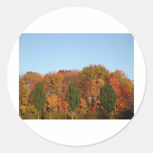 Sticker Rond Folithe d'automne (Devant)