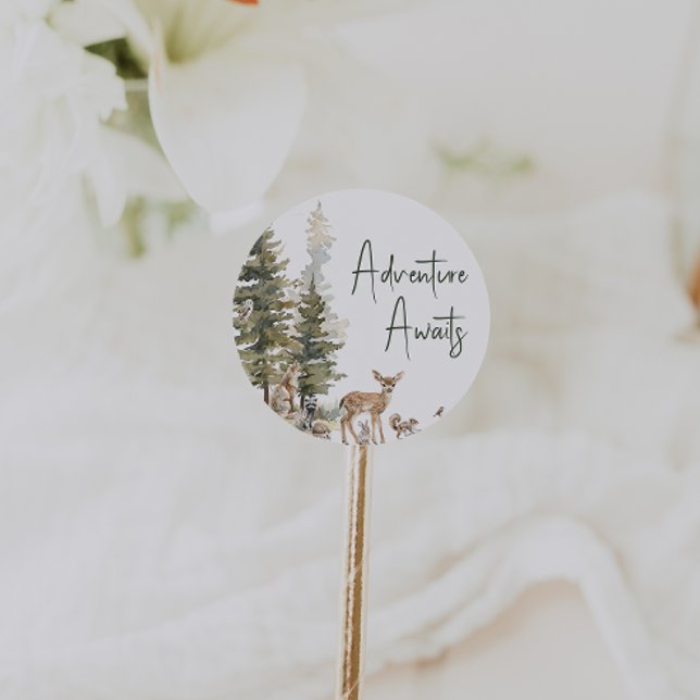 Sticker Rond Forêt Bois Animaux Aventure Attend Faveur (Créateur téléchargé)