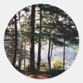 Sticker Rond Forêt de verre tendu