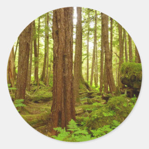 Sticker Rond Forêt pluviale tempérée de l'Alaska