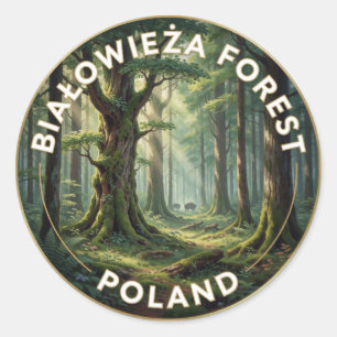 Sticker Rond Forêt primitive de Bialowieza, paysage polonais