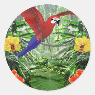 Sticker Rond Forêt tropicale des pluies