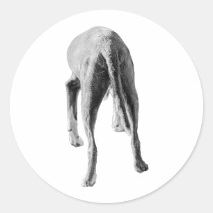 Sticker Rond Formulaire et flux