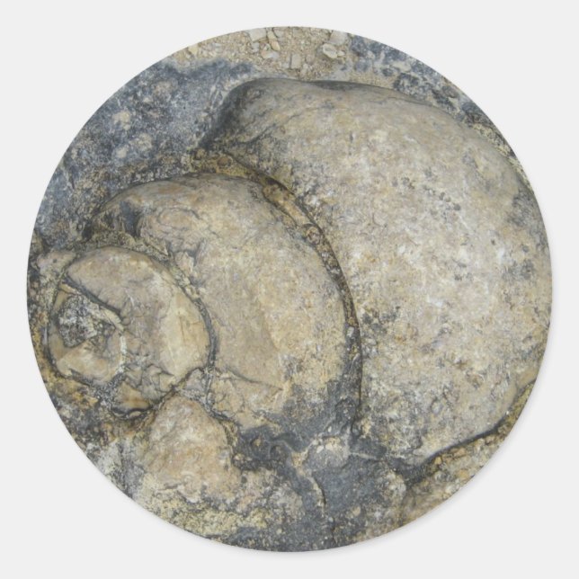 Sticker Rond Fossile (Devant)