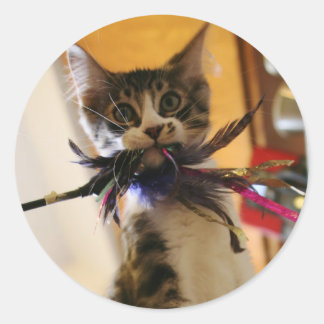 Sticker Rond Fou pour la plume