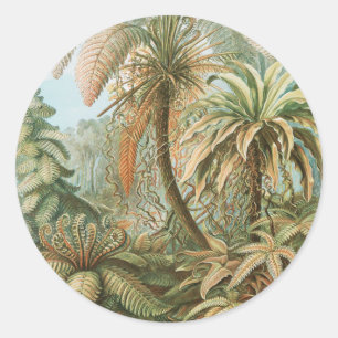 Sticker Rond Fougères, Filicinae Laubfarne par Ernst Haeckel