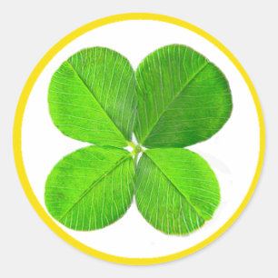 Sticker Rond Four Leaf Clover Le MUSÉE Zazzle Cadeaux
