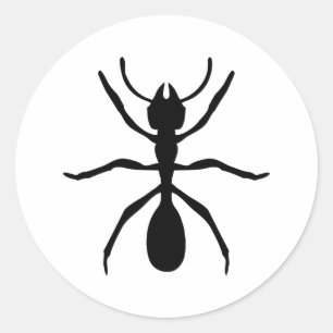Sticker Rond fourmi noire
