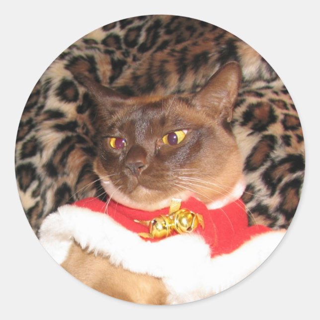 Sticker Rond FPG Xmas birman 2 - (Devant)
