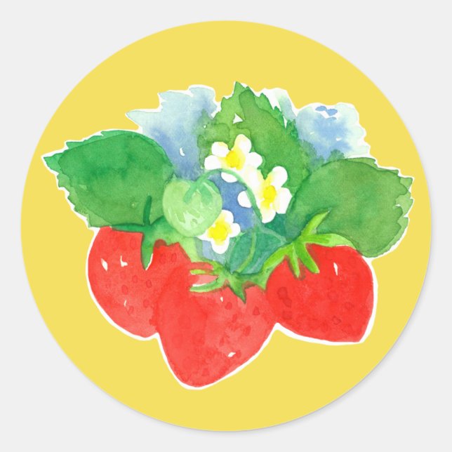 Sticker Rond Fraises Fleurs Fruit Aquarelle (Devant)