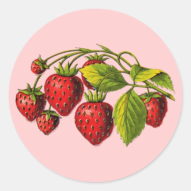 Sticker Rond Fraises fraîches (Devant)