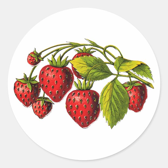 Sticker Rond Fraises fraîches (Devant)