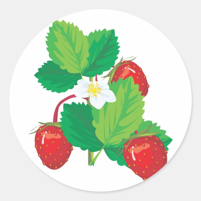Sticker Rond fraises juteuses réalistes (Devant)