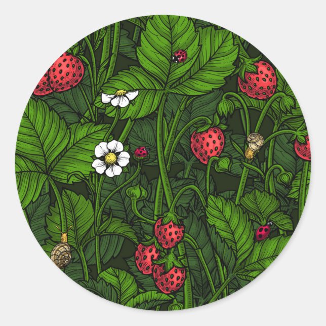 Sticker Rond Fraises sauvages (Devant)