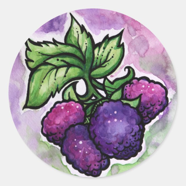 Sticker Rond Framboises noires mignonnes framboises pourpres (Devant)