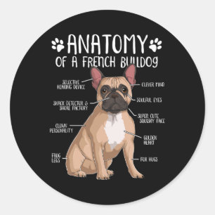 Sticker Rond Français Bulldog Anatomie Français Amoureux des ch