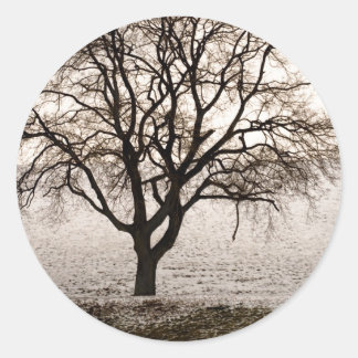 Sticker Rond froid et agréable