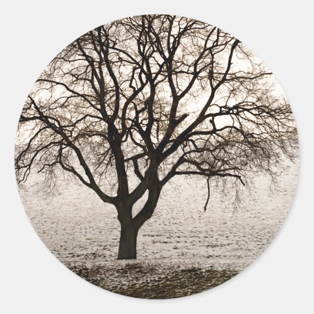 Sticker Rond froid et agréable (Devant)