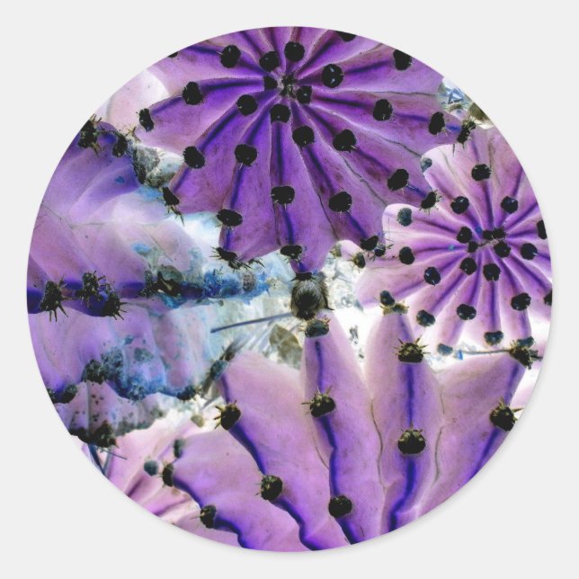 Sticker Rond From Space (Devant)