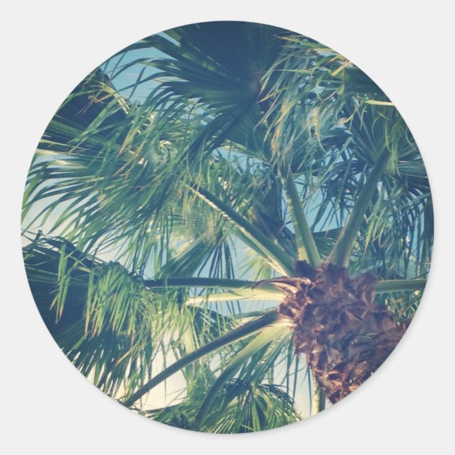 Sticker Rond Frondes de palmier (Devant)