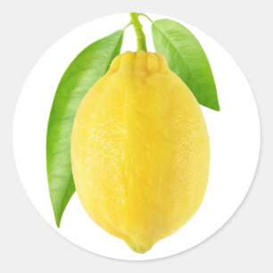 Sticker Rond Fruit citron