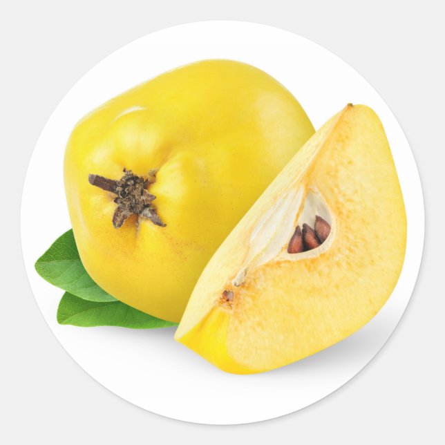 Sticker Rond Fruits de coing (Devant)