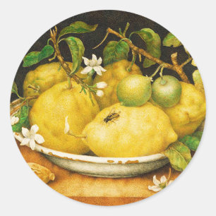 STICKER ROND FRUITS DE SAISON LÉMONS ET FLEURS BLANCHES