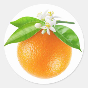 Sticker Rond Fruits et fleurs d'orange