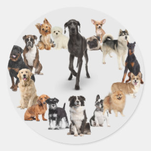 Sticker Rond Fun Chien race Animaux de compagnie Chien Marche C
