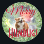 Sticker Rond Fun Dog Photo Christmas Wreath Joyeux Humbug<br><div class="desc">Remplacez la photo de votre chien ou utilisez cet autocollant avec le mignon corgi souriant, profitant de la neige. Il est à l'intérieur d'une simple couronne à feuillage persistant. Le mot "Merry" est dans une police de caractères rouge élégante, et "Humbug!" s'imprime dans une police sans serif et amusante -...</div>