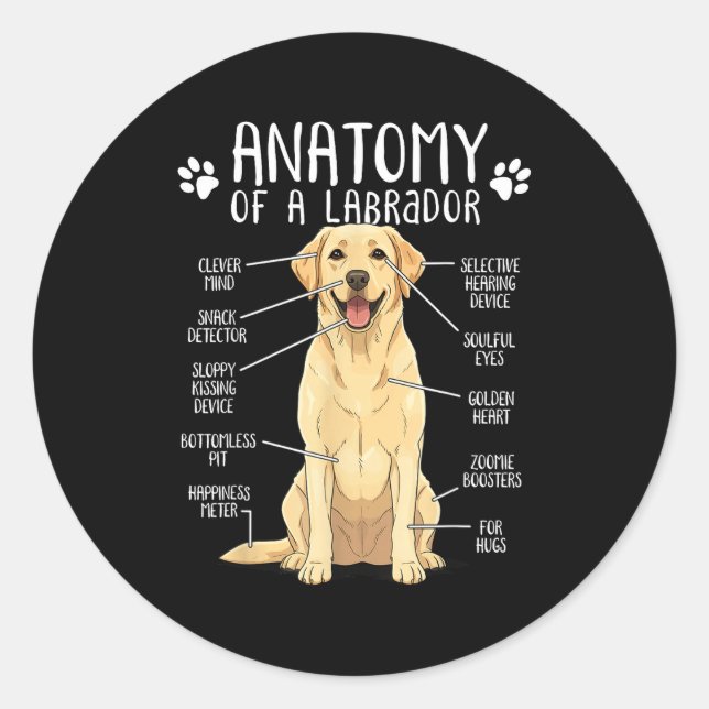 Sticker Rond Funny Anatomy Labrador Retriever Yellow Lab Dog Ow (Devant)