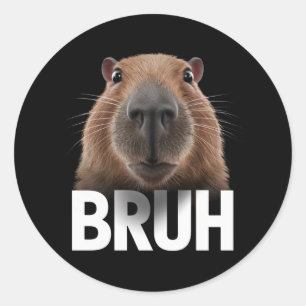 Sticker Rond Funny Capybara Bruh