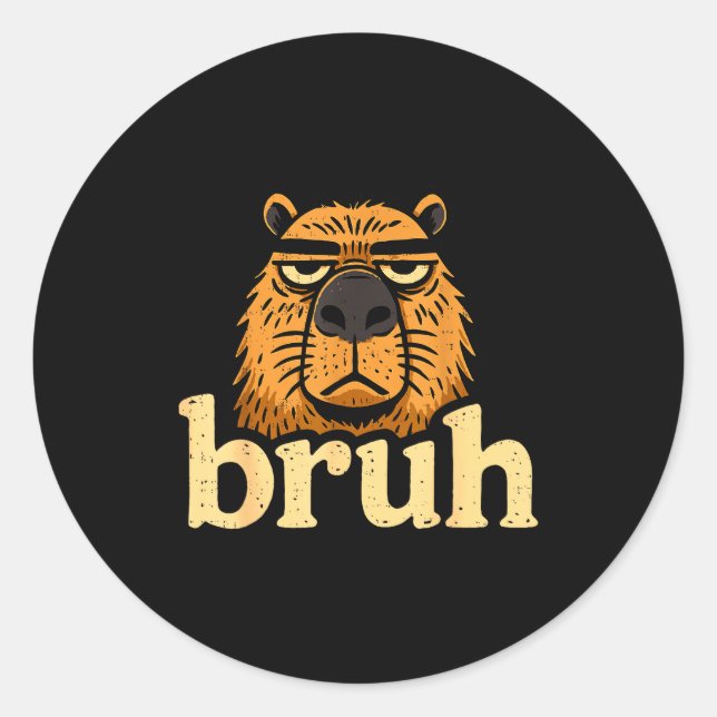 Sticker Rond Funny Capybara Bruh Sarcastic Animal Meme Boys Tee (Devant)