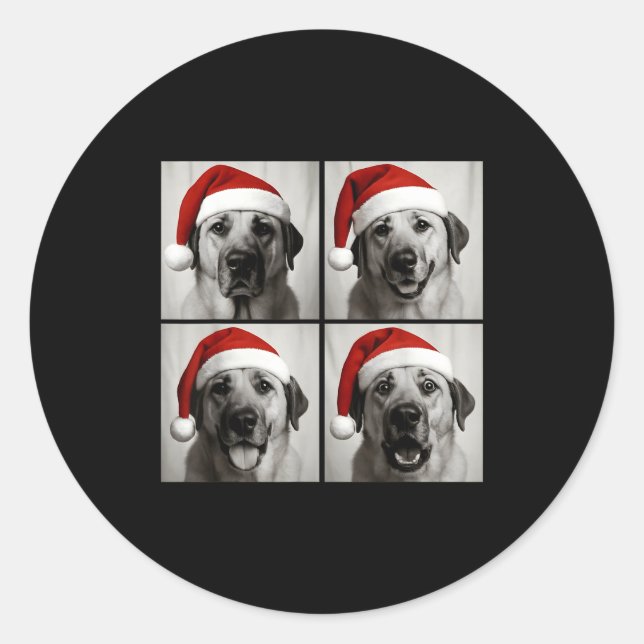 Sticker Rond Funny Christmas Anatolian Shepherd Santa Dog Photo (Devant)