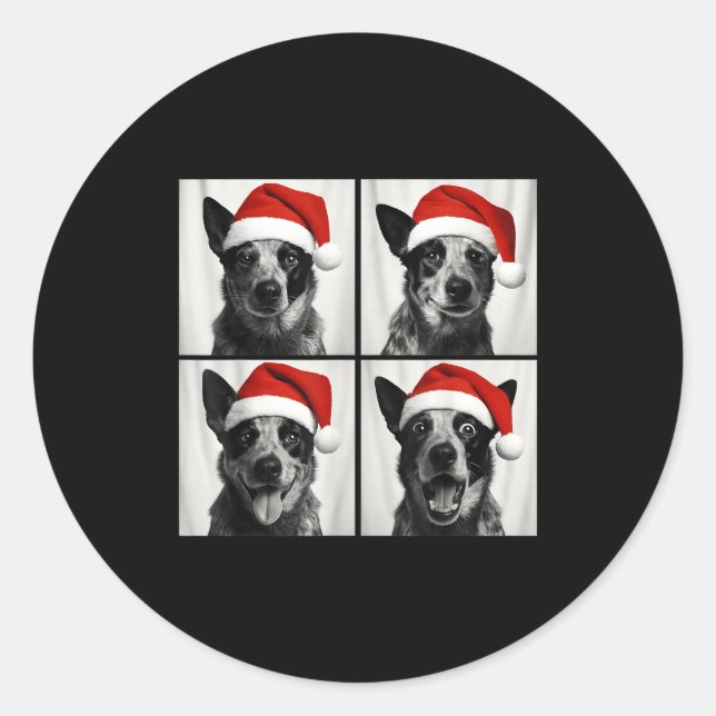 Sticker Rond Funny Christmas Australian Cattle Dog Santa Photo  (Devant)