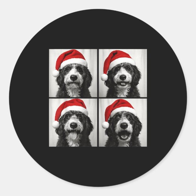Sticker Rond Funny Christmas Bernedoodle Santa Doodle Dog Photo (Devant)