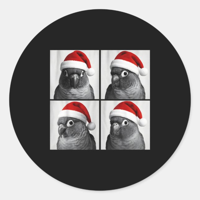 Sticker Rond Funny Christmas Green Cheek Conure Santa Photo Boo (Devant)