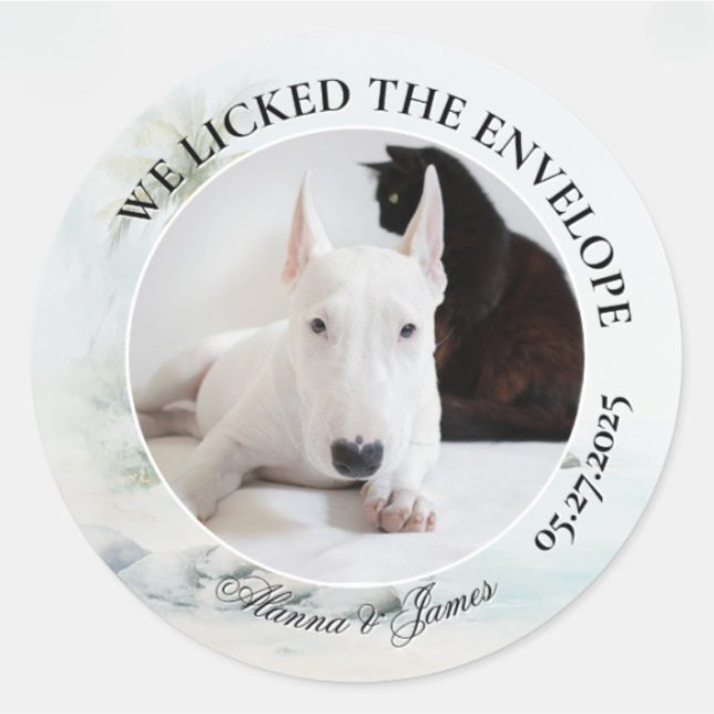 Sticker Rond Funny Dog “I Licked the Envelope” Tropical Beach (Round wedding sticker with dog and cat photo, “We Licked the Envelope,” and names Alanna and James.)