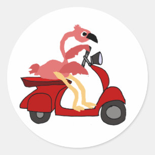 Sticker Rond Funny Flamant rose rose équitation Moteur Scooter