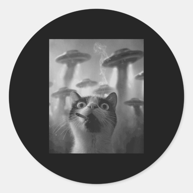 Sticker Rond Funny Graphic Chat Gangster Funny _1 (Devant)