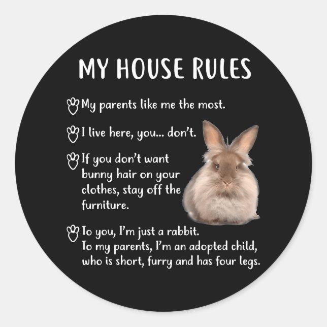Sticker Rond Funny Lapin Ma Maison Règles Lionhead Bunny (Devant)