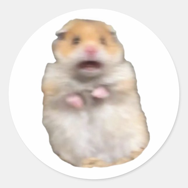 Sticker Rond funny meme cat (Devant)