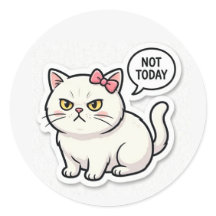  Funny Mood Cat Aesthet