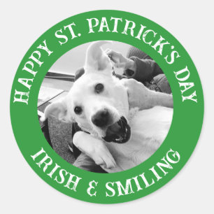 Sticker Rond Funny St. Patrick's Day Irlandais et chien sourian