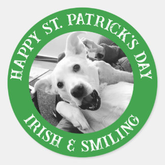 Sticker Rond Funny St. Patrick's Day Irlandais et chien sourian