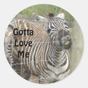 Sticker Rond Funny Zebra